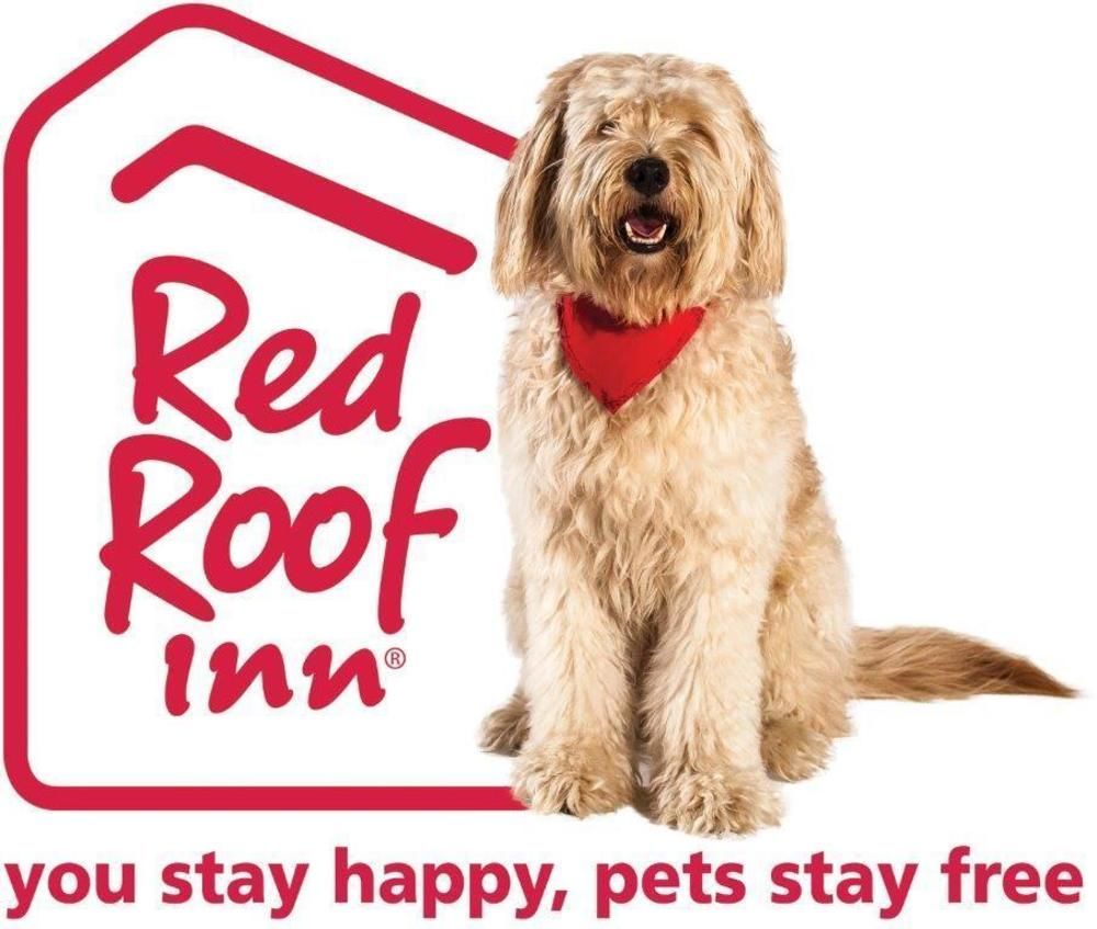 Red Roof Inn PLUS+ El Paso East Exterior foto